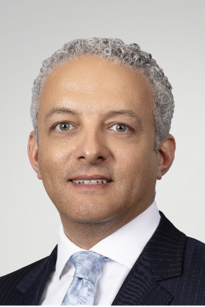 Eng. Amir Gerges